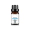 Natural Plant Fruit Essential Oil 10 Ml 17