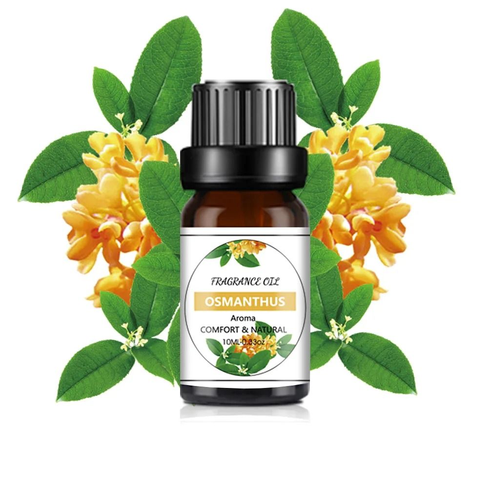 Natural Plant Fruit Essential Oil 10 Ml 19