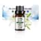 Natural Plant Fruit Essential Oil 10 Ml 7
