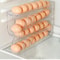 Automatic GravityFed Egg Organizer 2