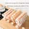 Automatic GravityFed Egg Organizer 4