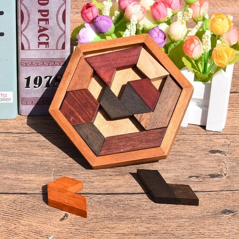 Montessori Geometric Logic Puzzle 2