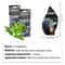 Gold Edition Natural TeaInfused Hanging Air Freshener 1