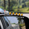 Miniature Chickens Dashboard Fairy Garden Ornaments 2