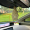 Hanging Bat Sustainable Freshness Car Air Freshener 8