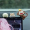Adorable Mini Monkey Car Ornament 5
