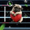 Artisanal 2D Car Air Vent Aromatherapy Clips 13