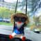 Sitting Swing Duck Car Rearview Mirror Pendant 8