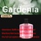 Smart Intelligent Car Air Freshener RGB Starry Sky Diffuser 16