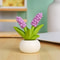 Flower Pot Elf Miniature Landscape Ornaments 9