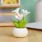 Flower Pot Elf Miniature Landscape Ornaments 4