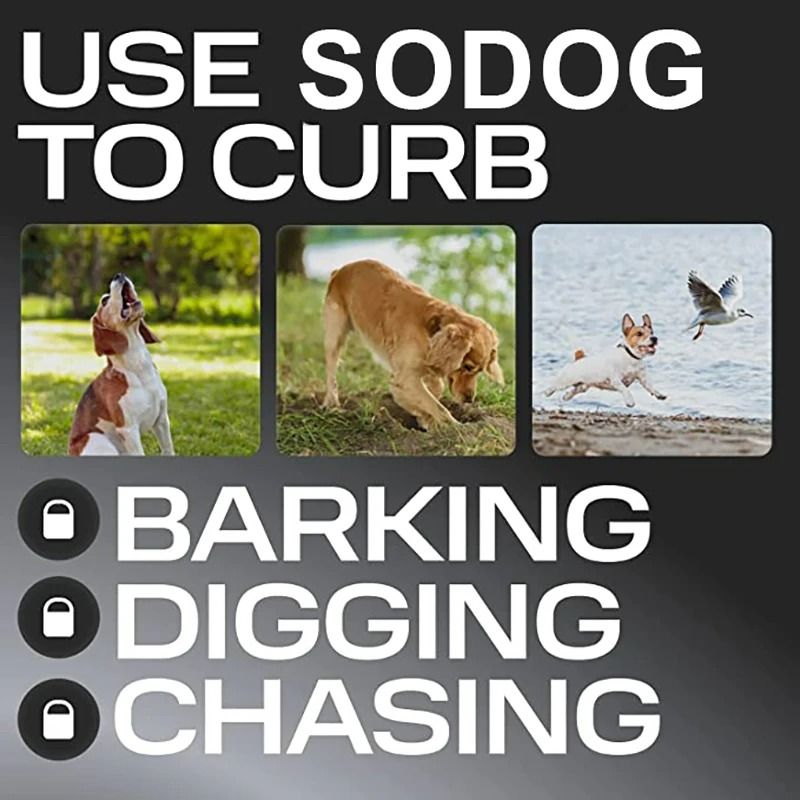 ABQP HighPower Ultrasonic Dog Training Deterrent 4