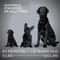 ABQP HighPower Ultrasonic Dog Training Deterrent 5