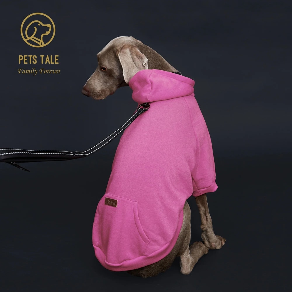 Urban Techwear Dog Hoodie With Leather Detail 3