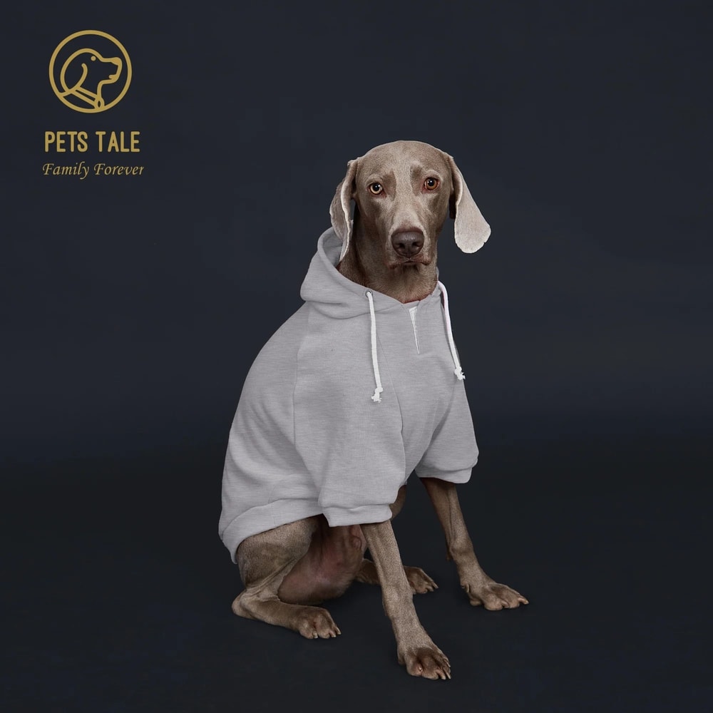 Urban Techwear Dog Hoodie With Leather Detail 5