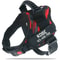HighVisibility NoPull Dog Harness 10