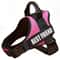 HighVisibility NoPull Dog Harness 13