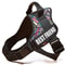 HighVisibility NoPull Dog Harness 18