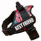HighVisibility NoPull Dog Harness 5