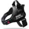 HighVisibility NoPull Dog Harness 7