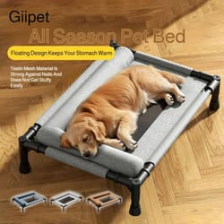 orthopedic raised mesh pet daybed