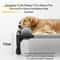 Orthopedic Raised Mesh Pet Daybed 4