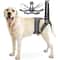 Rehabilitation Dog Lift Harness Mobility Sling 1