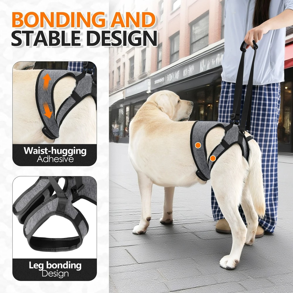 Rehabilitation Dog Lift Harness Mobility Sling 4