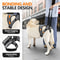 Rehabilitation Dog Lift Harness Mobility Sling 4