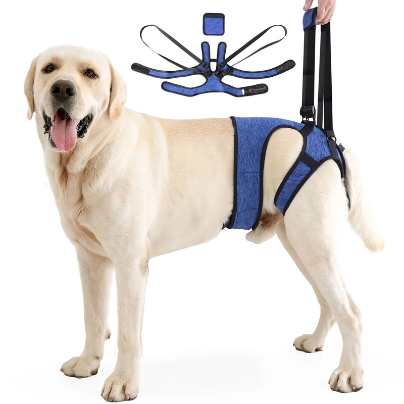 Rehabilitation Dog Lift Harness Mobility Sling 7