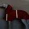 StormShield Reflective Cloak Raincoat 2