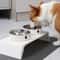 Orthopedic Elevated Double Diner Pet Station 0