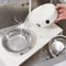 Orthopedic Elevated Double Diner Pet Station 3