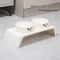 Orthopedic Elevated Double Diner Pet Station 6