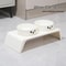 Orthopedic Elevated Double Diner Pet Station 6