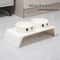 Orthopedic Elevated Double Diner Pet Station 7