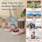 GravityFlow HighCapacity Pet Feeding Station 3
