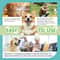 Mint Herbal Pet Dental Polish Breath Freshener 3