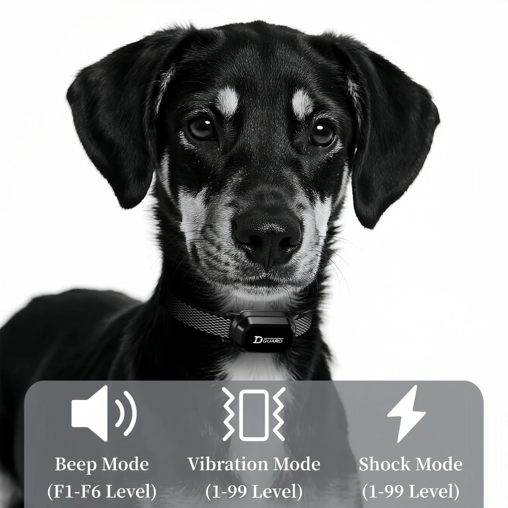 LongRange Remote Training System 4