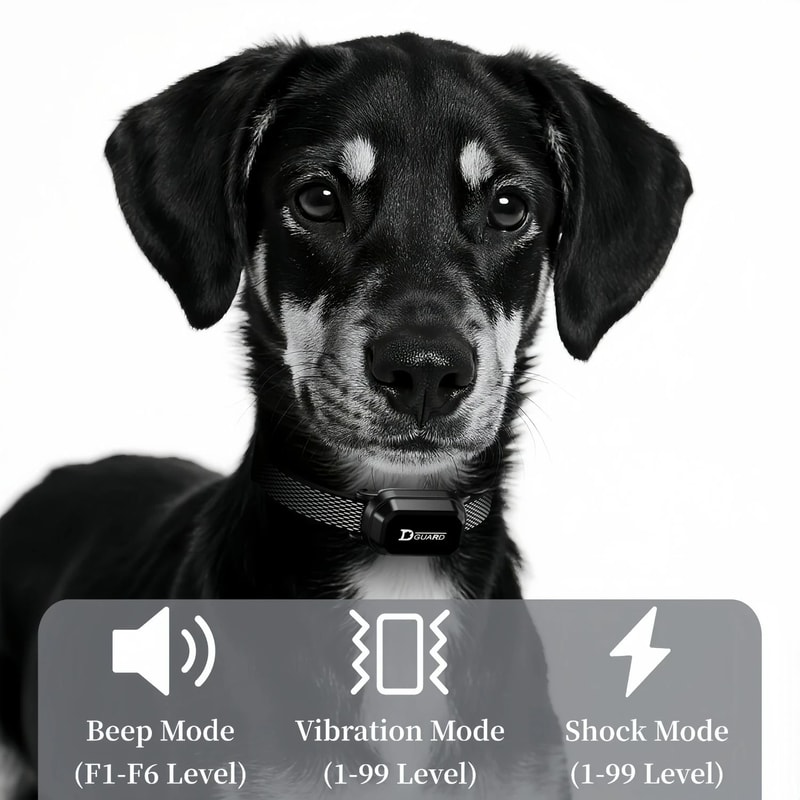 LongRange Remote Training System 4