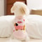Sweetberry Breathable Cotton Pet Undershirt 4
