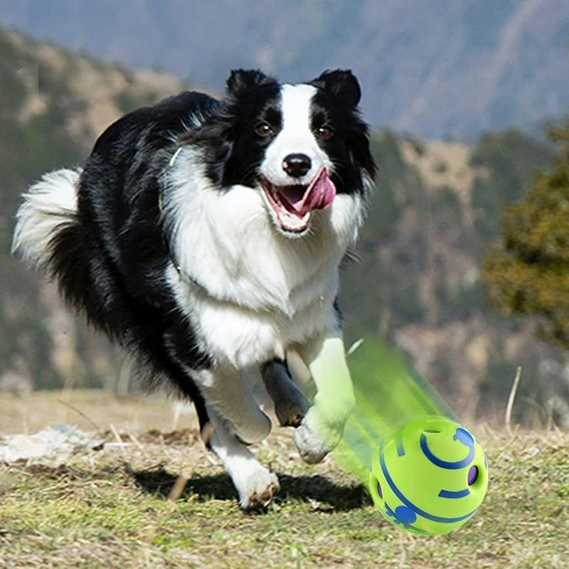 Wobble Wag Giggle The Ultimate Interactive Attention Toy 4