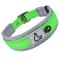 EndurancePro Padded Reflective Dog Collar 9