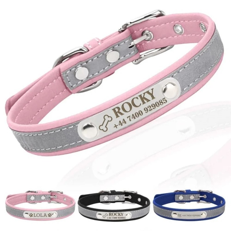 SignatureSeries Custom Engraved Reflective Pet Collar 0