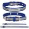 SignatureSeries Custom Engraved Reflective Pet Collar 4