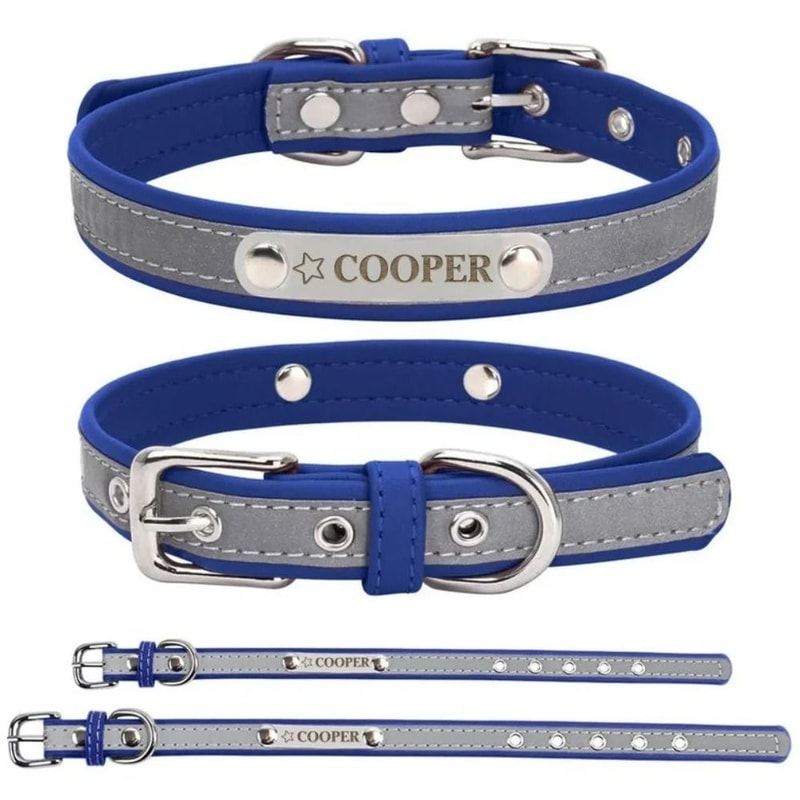 SignatureSeries Custom Engraved Reflective Pet Collar 10
