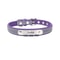 SignatureSeries Custom Engraved Reflective Pet Collar 12