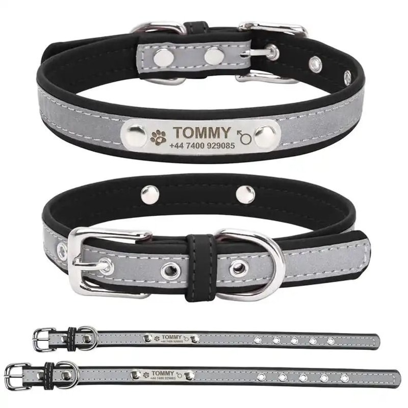 SignatureSeries Custom Engraved Reflective Pet Collar 8
