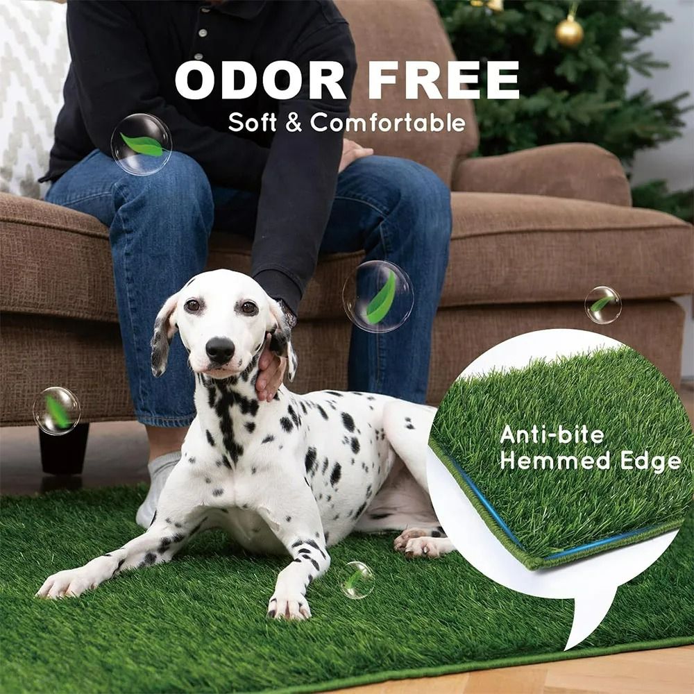 Reusable Dog Lawn Training System 2