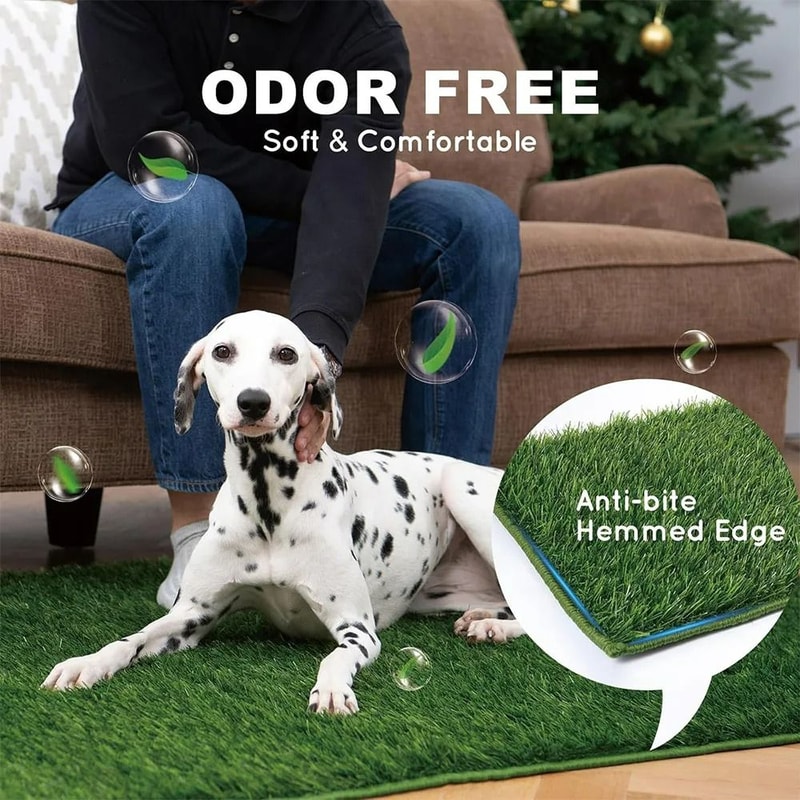 Reusable Dog Lawn Training System 2